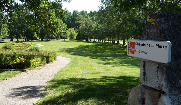 Chemin Pierre LApidiales