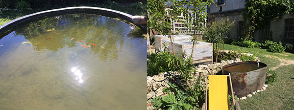 Aquaponics cycle at Domaine du Meunier